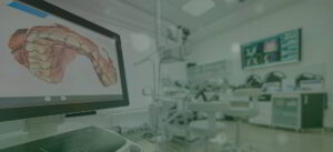 Synergy Dental Partnerships